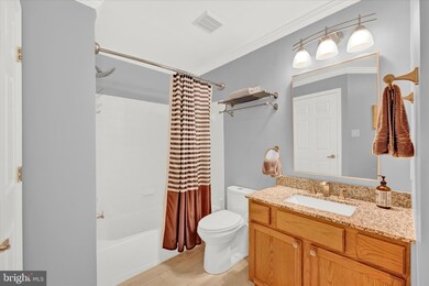 8805 Stone Ridge Cir unit 302, Pikesville, MD 21208 - photo 7