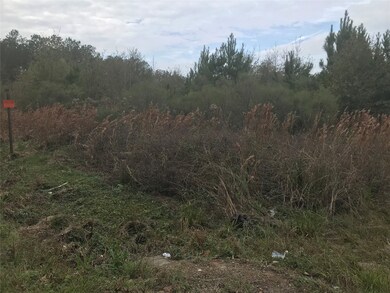 28410 Champion Oaks Dr, Magnolia, TX 77354 - photo 2