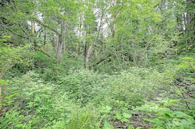 Street View off road connecting to Amber View (no name)