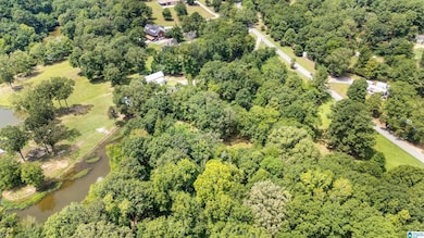 Lot 7 Hebb Rd unit 7, Wilsonville, AL 35186 - photo 7