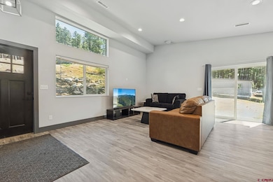 673 Mesa Dr, Bayfield, CO 81122 - photo 5