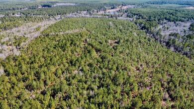Longleaf Hill Land for Sale in SC-06