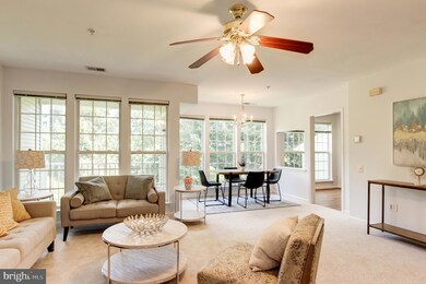 11205 Edson Park Place unit 46, Rockville, MD 20852 - photo 7