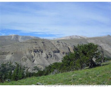 0 Tbd unit S373701, Fairplay, CO 80440 - photo 3