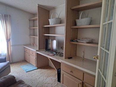 6355 Laramie Loop, Zephyrhills, FL 33542 - photo 3