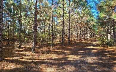 TBD-1 221st Rd, Dowling Park, FL 32060 - photo 5