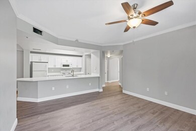 Living Area/Dining