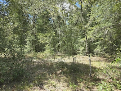 00 NE 150th Ct, Williston, FL 32696 - photo 4