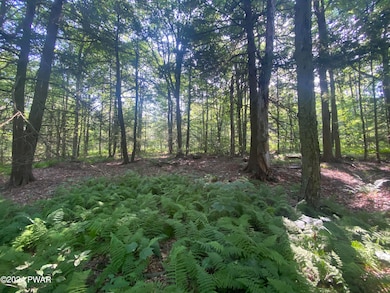 0 State Route 307 & Donny Dr unit PWBPW241930, Moscow, PA 18444 - photo 3