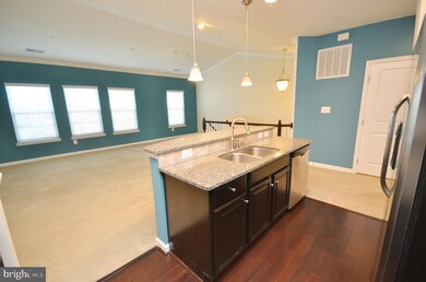 24684 Hutchinson Farm Dr, Sterling, VA 20166 - photo 7