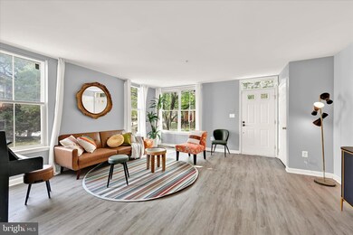 1005 Myrtle Ave, Baltimore, MD 21201 - photo 4