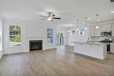 623 Thunder Gulch Ave, Lexington, SC 29073 - photo 7