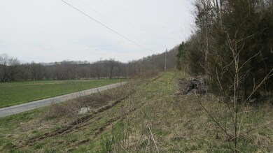 564 Johnson Creek Rd, Ewing, KY 41039 - photo 4