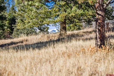 Parcel F Laughing Dog Ln, Durango, CO 81301 - photo 5