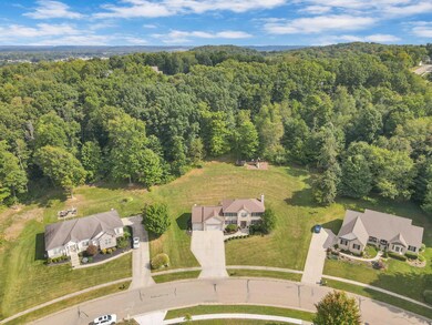 4-web-or-mls-DJI_0784 - Copy - Copy - Co