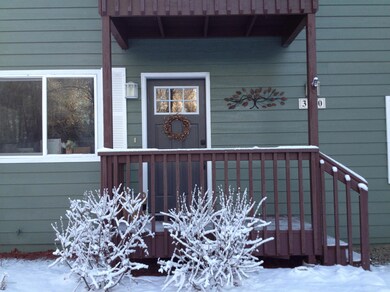 Front Door Winter