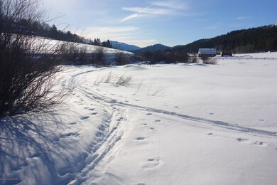 ski out door