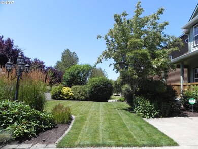 Front Yard