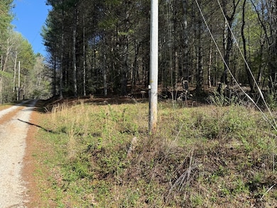 00 Appleberry Ln, Franklin, NC 28734 - photo 6