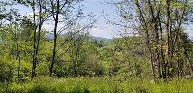 View in late spring