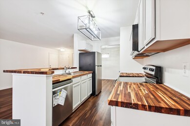 2155 Scotts Crossing Ct unit 101, Annapolis, MD 21401 - photo 5