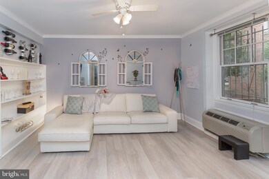 2410 20th St NW unit 7, Washington, DC 20009 - photo 3