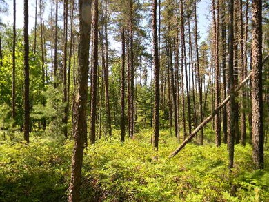acreage