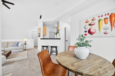 8737 E Dry Creek Rd unit 1725, Englewood, CO 80112 - photo 6