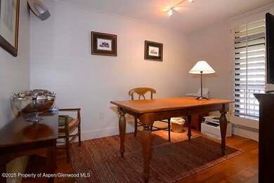 800 E Hopkins Ave unit A1, Aspen, CO 81611 - photo 4