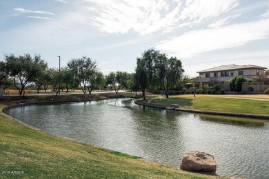Lake Behind House