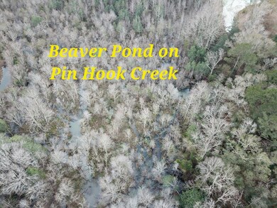 50.45 Acres Trawick Rd, Dothan, AL 36301 - photo 7