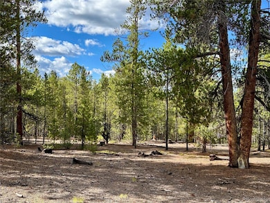 143 Fir Dr, Twin Lakes, CO 80461 - photo 4