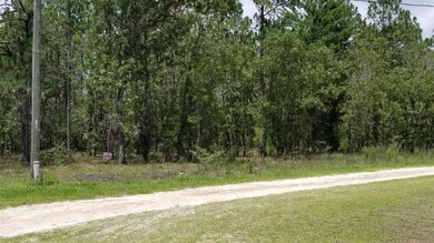 ELECTRIC POWER POLE ON PROPERTY CORNER