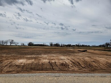 201 Lonicera Ln, Paradise, TX 76073 - photo 7