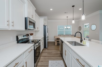 5301 Gap Cir, Mount Olive, AL 35117 - photo 7