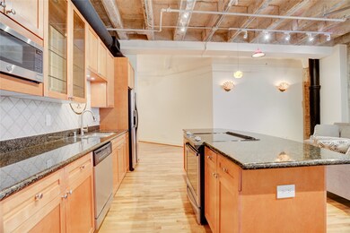 Franklin Lofts unit 3D, Houston, TX 77002 - photo 7