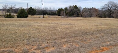 Lot 22 Bay Creek Ln, Gordonville, TX 76245 - photo 7