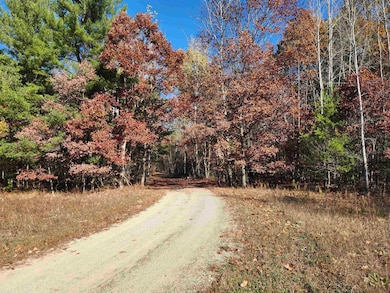 92 ACRES E River Rd, Mount Pleasant, MI 48858 - photo 4