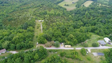 1311 Old Dixville Rd, Harrodsburg, KY 40330 - photo 4