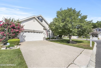 54-web-or-mls-DSC01076