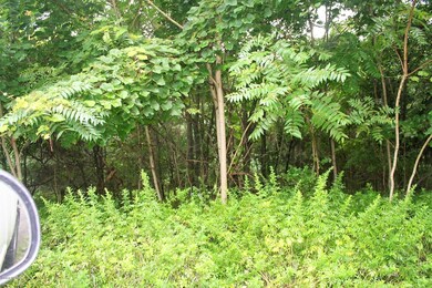 0 County Line Rd, Muncy, PA 17756 - photo 2