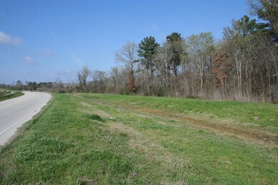 17ac Lone Star Pkwy, Montgomery, TX 77356 - photo 6