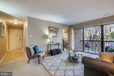 11419 Commonwealth Dr unit 103, Rockville, MD 20852 - photo 5