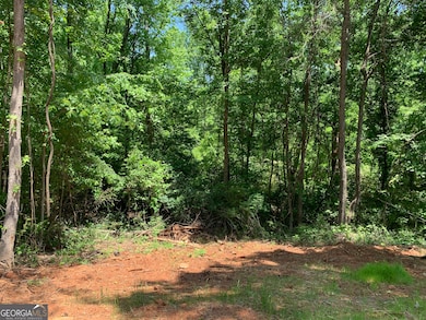 1030 Chambers Ct, Watkinsville, GA 30677 - photo 2