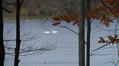 5690 Bel Shore Ln, Schoolcraft, MI 49087 - photo 3