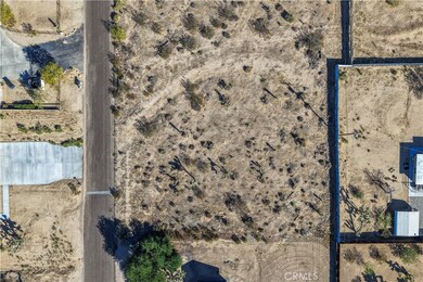 7201 Olympic Rd, Joshua Tree, CA 92252 - photo 5