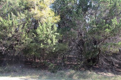 17113 Woodlawn Dr, Whitney, TX 76692 - photo 5