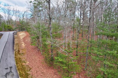 Lot 14 My Forest Trail, Morganton, GA 30560 - photo 7