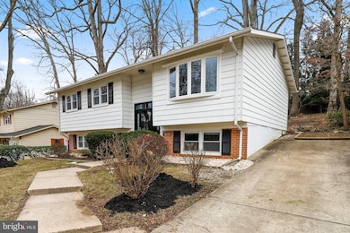 13415 Tamarack Rd, Silver Spring, MD 20904 - photo 5