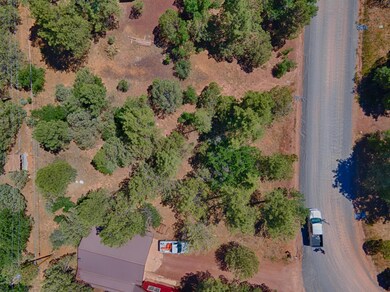 4209 Blue Mountain Ave, Show Low, AZ 85901 - photo 3